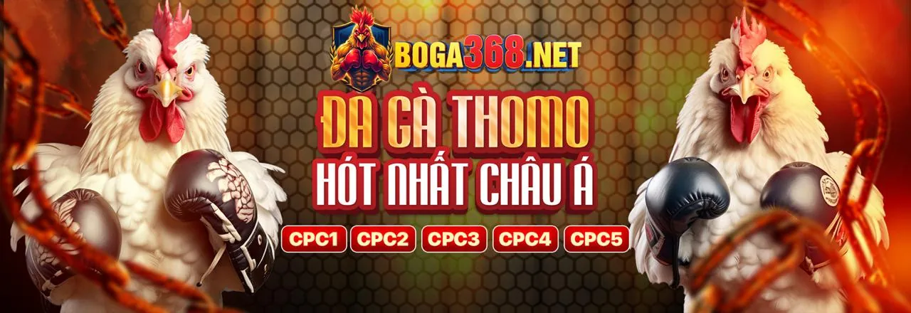 Đá Gà Win55 – Sân đấu kịch tính